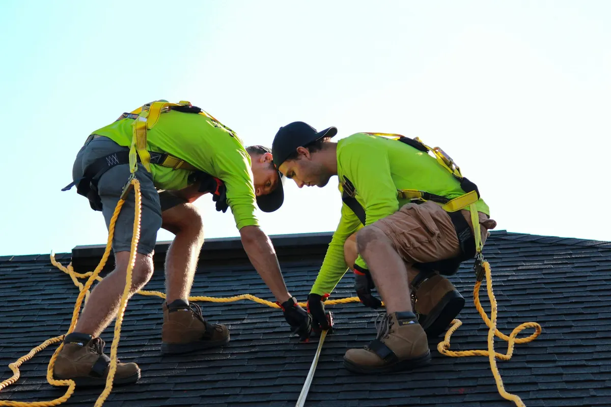 Two roofers in safety harnesses installing shingles
